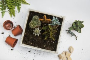 Alat Berkebun Plastik